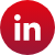 LinkedIn icon